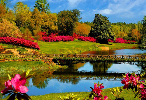 СПРИНГ ЦАР РЕНТАЛ ТАКСИМ ХОЛИДАИ ЦАР ХИРЕ СУЛТАНАХМЕТ РЕНТ А ЦАР ОЛД ЦИТИ ИСТАНБУЛ